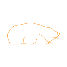 Animals African Insectivores Giant Golden Mole Svg Line Art, Free Vectors File